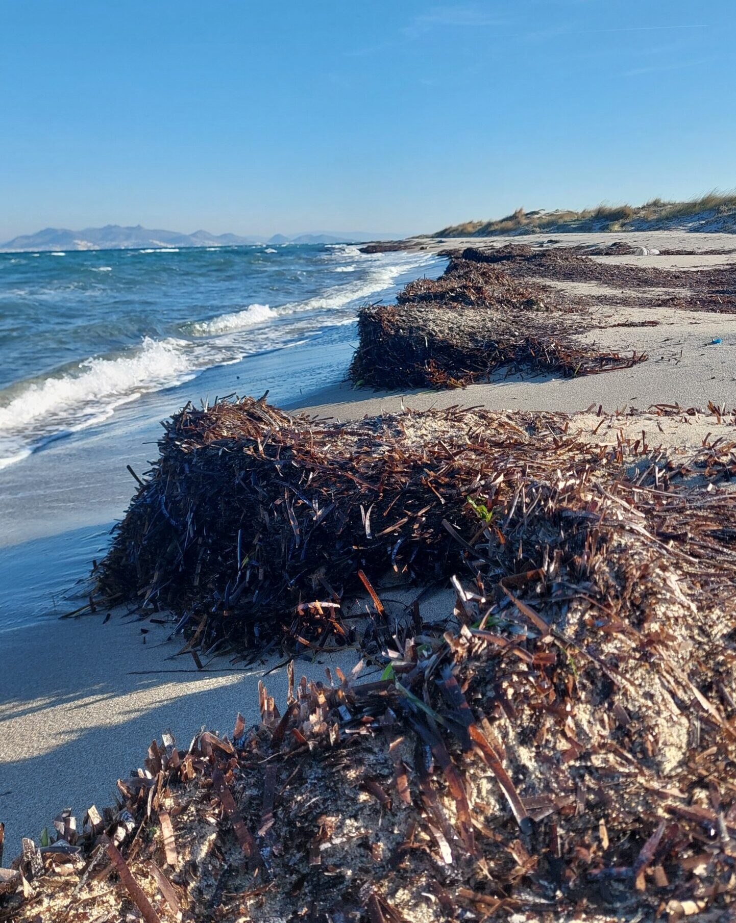 kainotomies-kompostopoiisis-assea.gr